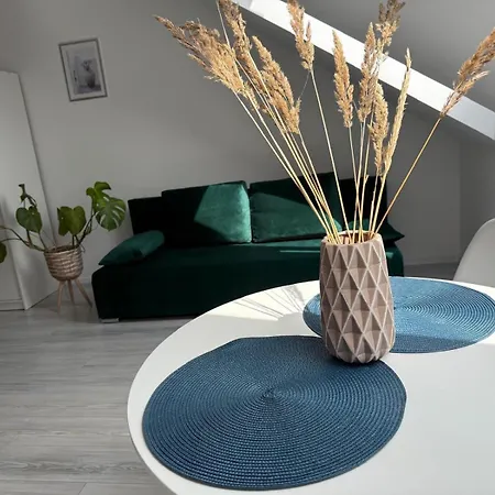 01, Rodzinny Z Tarasem, Centrum - Nadmorska 26 Апарт-отель Грзибово